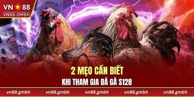2 mẹo cần biết khi tham gia đá gà S128