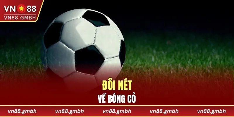 Đôi nét về bóng cỏ chính xác nhất