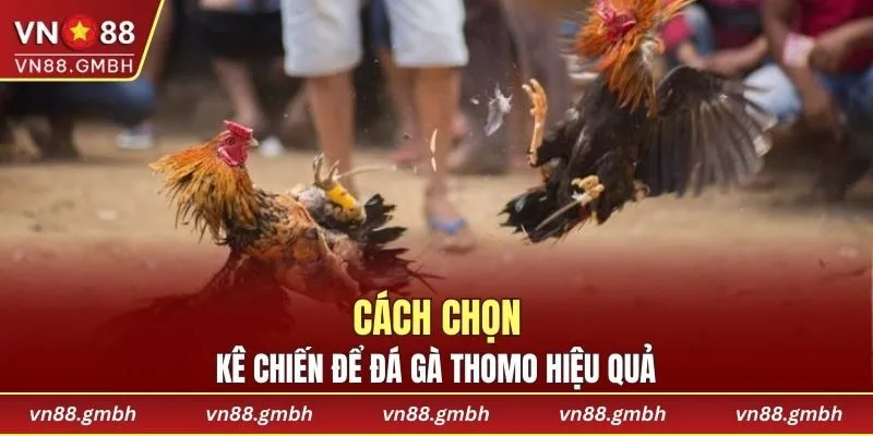 Những cách chọn kê chiến để đá hiệu quả