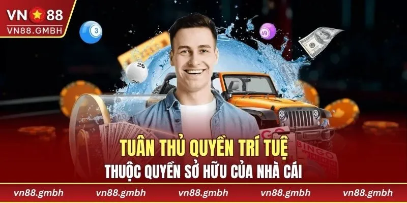 Quyền sở hữu trí tuệ theo quy phạm điều khoản điều kiện
