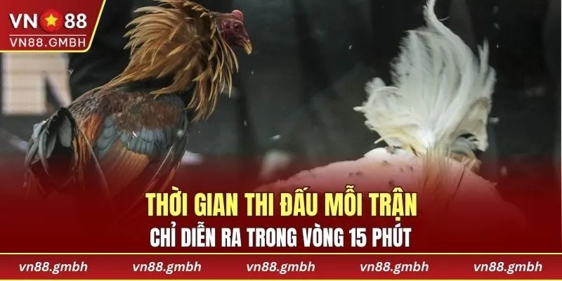 Thời gian thi đấu mỗi trận chỉ diễn ra trong vòng 15 phút