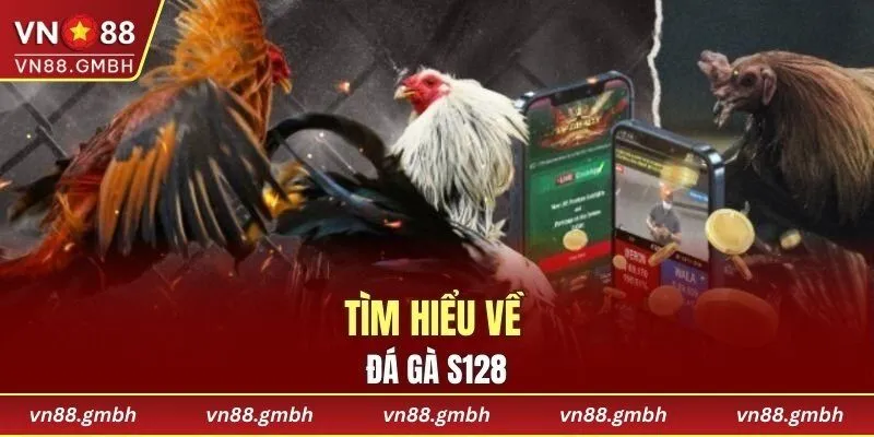 Tìm hiểu về đá gà S128