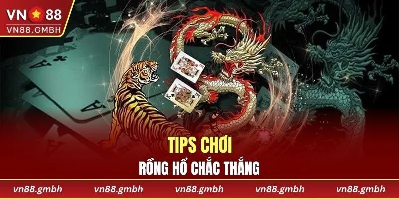 Tips chơi rồng hổ chắc thắng, đảm bảo thu về tiền thưởng lớn
