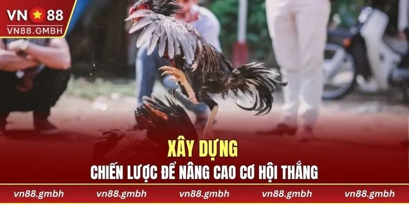 Xây dựng chiến lược chơi đá gà cựa dao hiệu quả